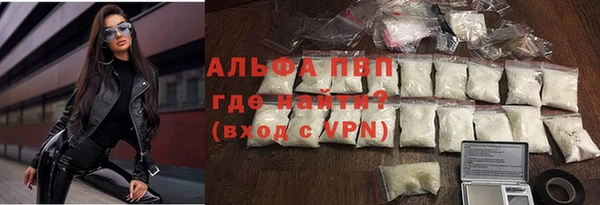 таблы Бородино