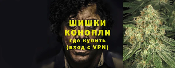 индика Богородск