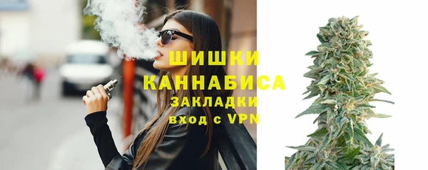 индика Богородск