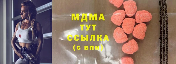 spice Богородицк