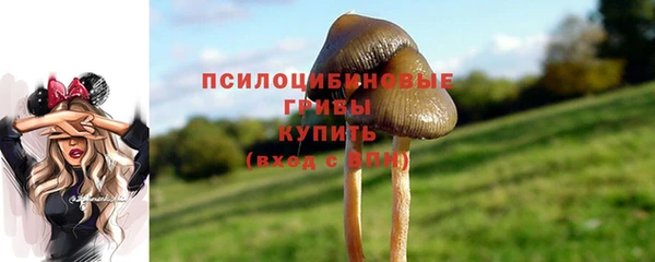 spice Богородицк