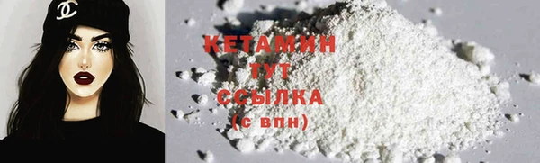 индика Богородск