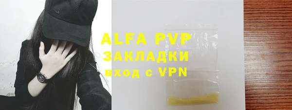 индика Богородск