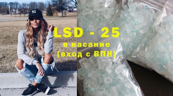spice Богородицк