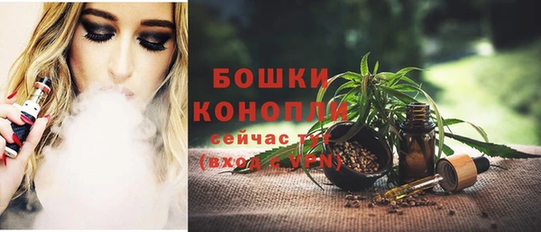 spice Богородицк