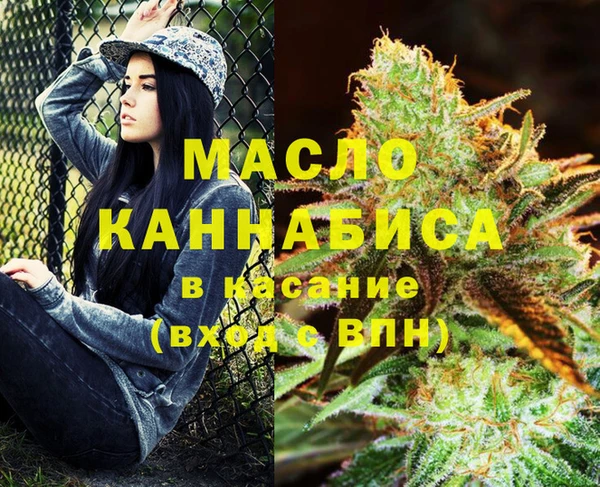 spice Богородицк