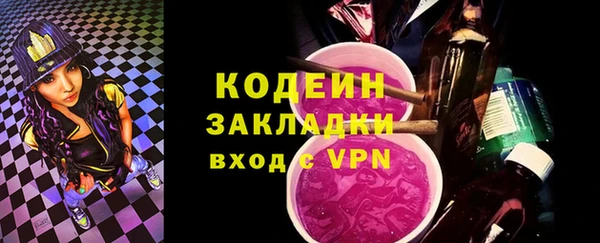 индика Богородск